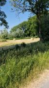 Top Xanten