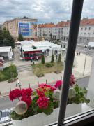 Top Zielona Góra