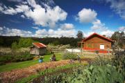 Top Deloraine