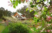 Top Deloraine