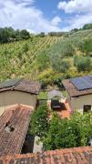 Top Figline Valdarno