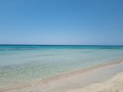 Posidonia -Son Bou Apartment
