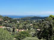 Top Bormes-les-Mimosas