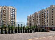 Top Mykolaiv
