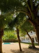Top Playa del Carmen
