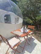 Top Trans-en-Provence