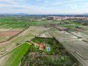 Top Santa Margalida