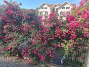 Sofial Guesthouse Sofial Guesthouse