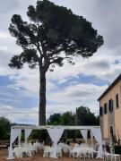 Top Paternopoli