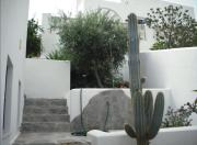 Top San José