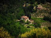 Fattoria il Poeta