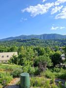 Top Radovljica