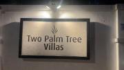 one palm tree villas