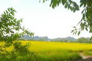 Top Ninh Binh