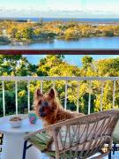 Top East Ballina