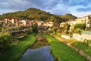 Top Vicchio