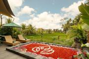 Top Ubud