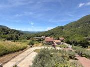 Top Bagnone