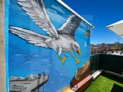 Top Varna City
