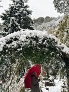 Top Mussoorie