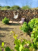 Top Pantelleria