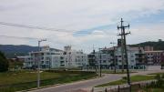 Top Florianópolis