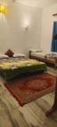 Top Alleppey