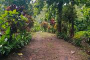 Top Vagamon