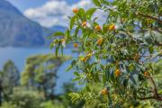 Top Varenna Top Varenna