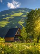 Cottage GORDA Kazbegi