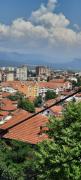 Top Niš