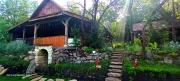 Hidden Garden Kide (Chidea)