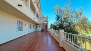 Top Torrox
