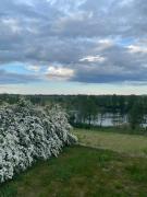 Top Matłak