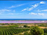 Top San Miguel de Salinas
