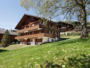 Apartment Heidi by Interhome