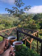 Top San Rafael
