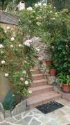 Top Pontedassio