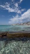 Top Gallipoli