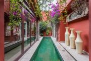 Top San Miguel de Allende