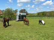 Top Market Rasen