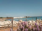 Top Brindisi