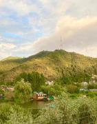 Top Srinagar