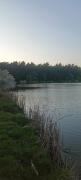 Top Nasutów