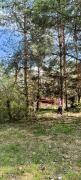Top Nasutów