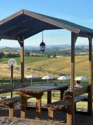 Top Montalcino Top Montalcino