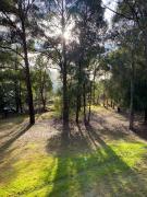 Top Noojee