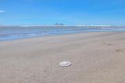 Top Rockaway Beach
