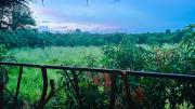 Elegant Elephant Tree House Sigiiriya