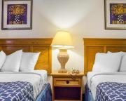 Top Scottsdale